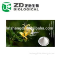 Natural Honeysuckle Extract (chinese Herb)/honeysuckle Extract powder